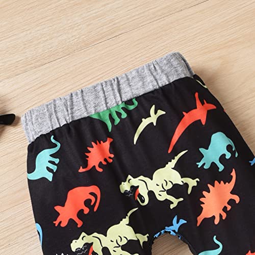 Hintina Infant Baby Boys Spring Summer Dinosaur Dino Clothes Mama's Boy Hoodie Bodysuit Pants Outfits Set 12-18 Months #TOP5