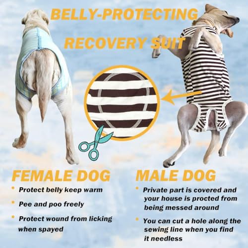Image of Recovery Suit Post Surgery for Large Medium Dog, Spay Recovery Suit for Male and Female Dogs, Post Surgery Dog Onesie, Substitute E-Collar & Cone (Gray-3XL)