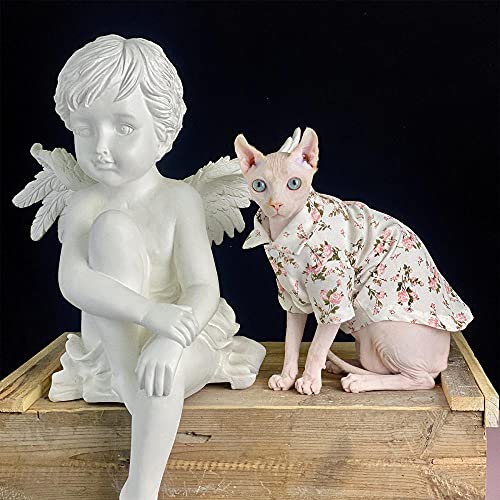 WMXING Gatto Vestiti, Vestiti Gatto Sphynx