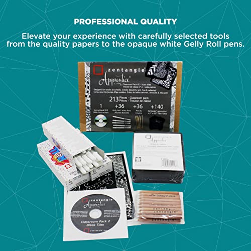 Sakura Zentangle Apprentice Classroom Pack - Dvd, White Gelly Roll Pens, Charcoal Pencils, And Black Paper Zentangle Tiles - 213 Pieces #TOP3