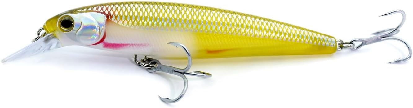 LOGOFUN 2Pcs Fishing Lures Top Water and Deep Sea Bass Fishing Lure for Freshwater and Saltwater Swim Bait 3D Holographic Laser Floating Lure Angling Fishing Gear, 4.7 Inch, 0.8 oz, SW-120F