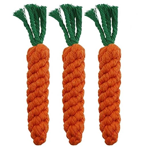 HESUILONG Juguetes para Perros, 3 Piezas de dentición para Cachorros, Juguetes de Cuerda para Perros, Juguetes masticables para Gatos, Juguetes de Conejo Trenzados Seguros, Regalo Saludable