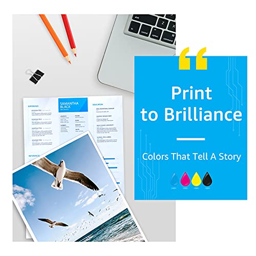 Palmtree Remanufactured Ink Cartridge Replacement For Hp 950Xl 950 Xl 951Xl 951 Xl For Officejet Pro 8610 8600 8620 8625 8630 8100 8615 8640 8660 251Dw 276Dw Printer Ink Cartridge (4 Combo Pack) #TOP5