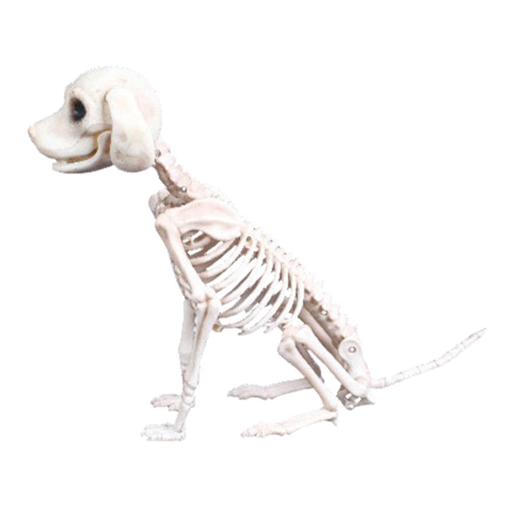 Rvikurc Halloween Dog Skeleton, Plastic Animal Bones Skull for Halloween Outdoor Indoor Decorations, Dog Skeletons for Yard Garden Lawn Patio Haunted