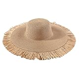 Fashionable Bohemian Summer Outdoor Tassel Large Brim Sunshade Hat Leisure Vacation Woven Fur Brim Straw Hat for Women Brown
