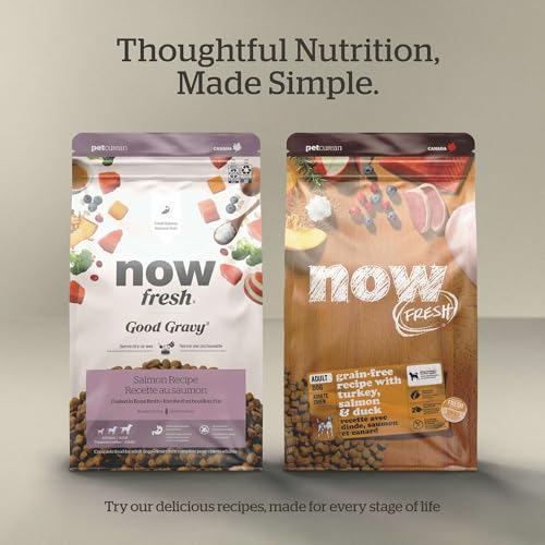 Image of Now Fresh Grain-Free, Dry Dog Food, Real Trout, Salmon and Herring Adult Recipe, All Breed Size, 22 lb Bag