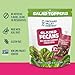 Orchard Valley Harvest Salad Toppers Glazed Pecans with Sweetened Cranberries & Roasted Pepitas, 0.85 oz (Pack of 7) Resealable Bag, Gluten Free, Non-GMO, No artificial colors or preservatives, Healthy Snacks for Adults