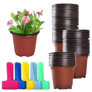 Danolt 50er Anzuchtschalen Setzling Starter Tabletts