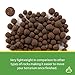 Josh's Frogs False Bottom - LECA Expanded Clay Pebbles (4 Quarts)