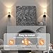 viyawise Battery Operated Wall Sconce Set of 2 Rechargeable Wireless Wall Sconces Wall Lamps with Dimmable and Remote, 12 Colors Wall Lights with RGB Bulb for Bedroom Living Room Hallway Decor(Black)