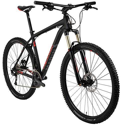 mountain bike fork springs