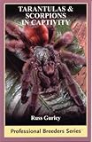 Tarantulas And Scorpions in Captivity (Professional Breeders)