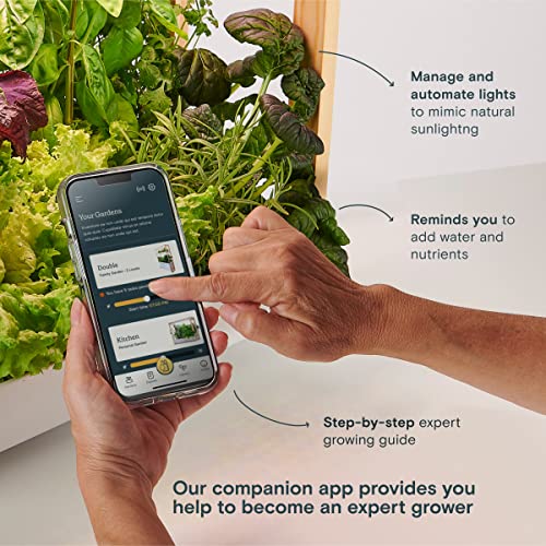 Rise Gardens Personal Garden And Starter Kit | Hydroponics Growing System, Wi-Fi & App Controlled Indoor Garden With Growing Lights & Self-Watering System | Includes 8 Seed Pods & 6 Weeks Nutrients #TOP3