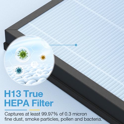 Image of 2 Pack HAP603 Replacement Filter Compatible with ECOSELF HAP603 / HAP603WF Air Purifier, Air Purifiers Replacement Filter for Home Large Room, # RFHAP603 2P BLU, Blue