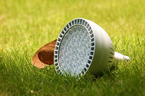 Led Pool Lights 120V 60W 6000Lm High Bright White 6500K Replacement For Pentair Hayward Inground Pool #TOP2