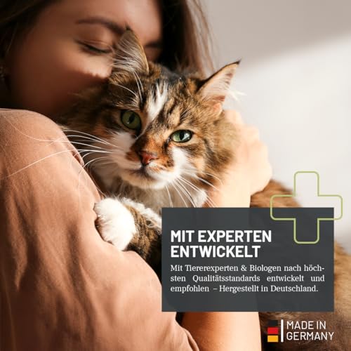 ReaVET Giardien-Spray 500 ml – Hygiene-Spray für Hund & Katze I wissenschaftlich Belegter Wirkstoff I Umgebungsspray zur Desinfektion gegen Giardien, Viren, Bakterien & Pilze