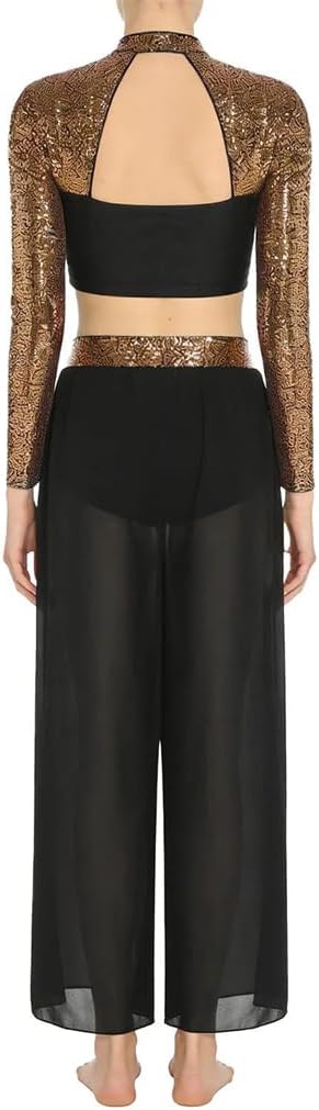Women Dance 2 Piece Mock Neck Long Sleeve Back Sequin Crop Top Sheer Chiffon Side Split Pants Set
