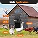 Large Automatic Chicken Coop Door, Aluminum Automatic Chicken Door with Manual & Timer Mode, Anti-Pinch & Battery Powered, LCD Display Chicken Door for Chickens, Ducks, and Geese