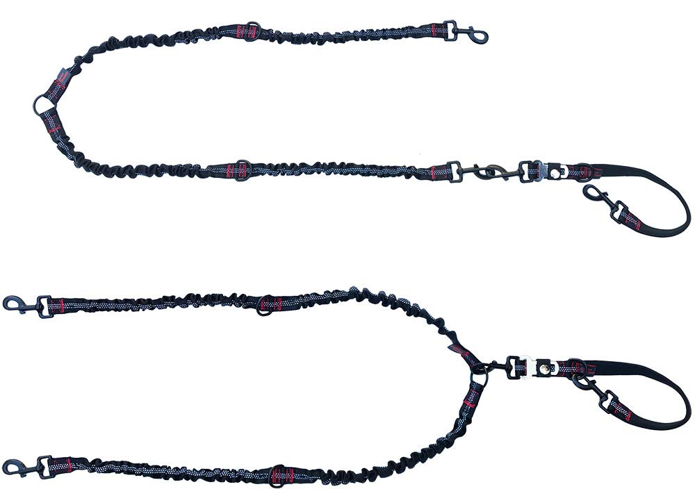 Bungee Leash & Convertible Coupler for 1 or 2 Dogs, Double Dog V Leash, Dual-Strength 5mm / 8mm for Small and Large Dogs, seat Belt Clip, Detachable/un-clippable Handle, wrap Around Posts. and Trees