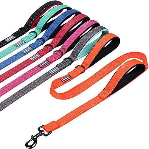 Vivaglory Dog Training Lead with 2 Padded Handles, Heavy Duty 6ft Long Reflective Safety Walking Leash for Medium to Large Dogs, Blue