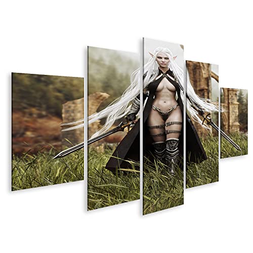 bilderfelix Tableau sur toile Guerrier elfe avec des épées Fantasy Elf - Toile 170x80 cm - 5 panneaux