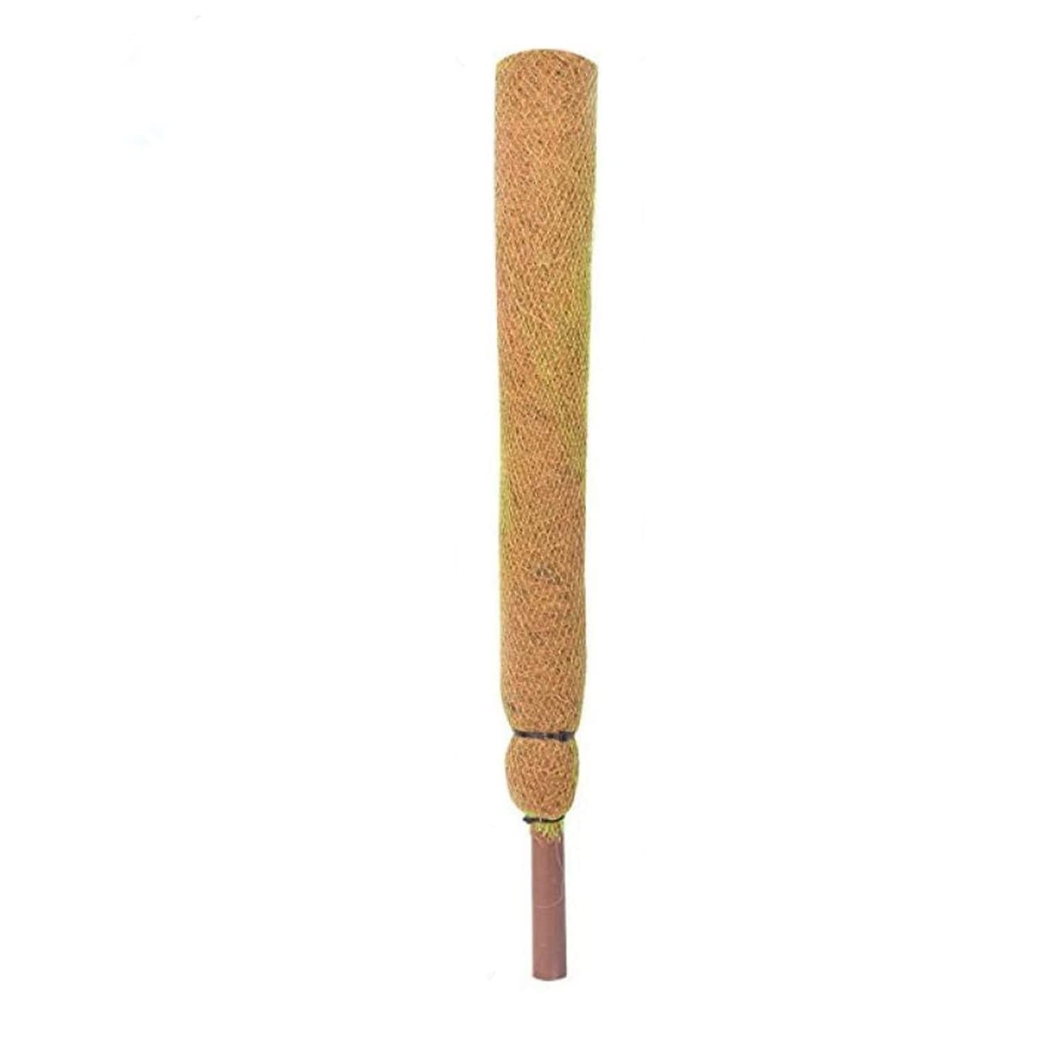 Spranila Coco Pole 4 Feet - (1 Piece) | Moss & Coir Stick for Money Plant Support, Indoor Plants, House Plants & Plant Creepers. (B0CYLZM953) Amazon Price History, Amazon Price Tracker
