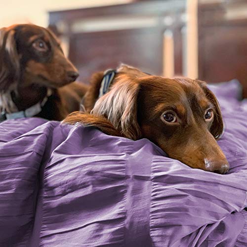 Sleep Zone Luxury Seersucker Twin Comforter Set For Kids 2-Piece, Soft & Lightweight Down Alternative Bedding Comforter With Pillow Sham Cooling For Summer, Purple #TOP4