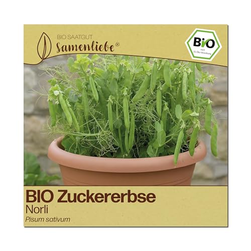 Samenliebe BIO Zuckererbsen Samen | Erbse Norli - fadenlos & kompakt - samenfestes BIO Saatgut