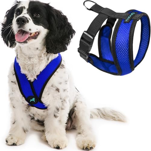 Gooby Comfort X Head In Harness - Blue, Medium - No Pull Small Do...