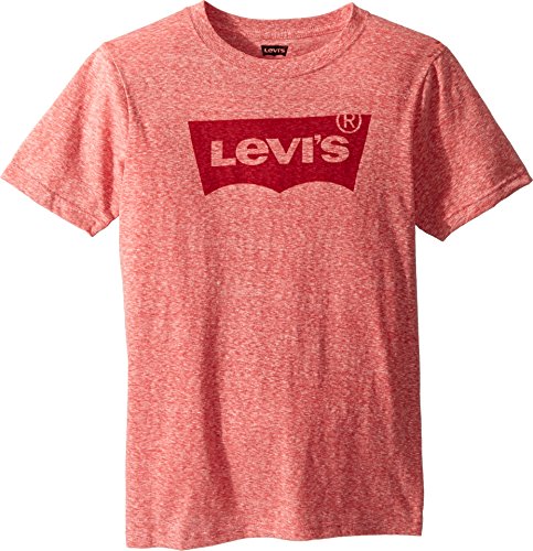 Image of Levi's Boys' Classic Batwing T-Shirt
