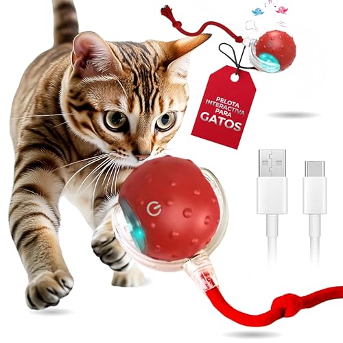 CLOVERSS®Juguetes para Gatos, Pelota para Gatos, Juguete Interact...
