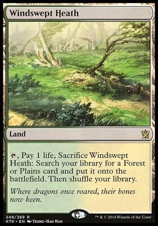 Magic: The Gathering Singles MTG Magic: The Gathering - Windswept Heath (248) Khans of Tarkir KTK (KTK248)