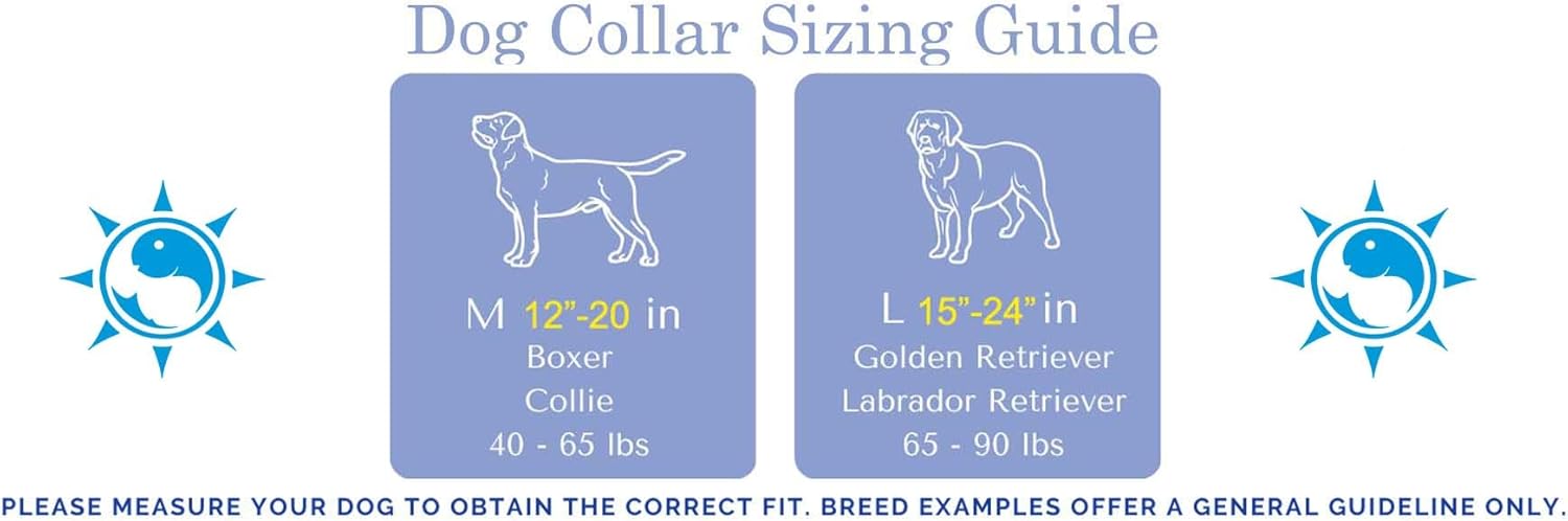 Waterfowl Duck Hunter Dog Collar Adjustable Fit (Large 1¼ 15”-24”)