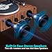 Record Player with Speaker, Vinyl Record Turntable with Magnetic Cartridge for Home Decoration and Entertainment, Vinyl Record Player Suitable for Christmas or Birthday Gift