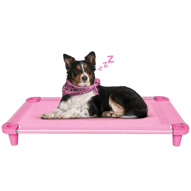 Acrimet Cama Elevada para Perros, Malla Lavable y Transpirable, Estructura de Acero Inoxidable