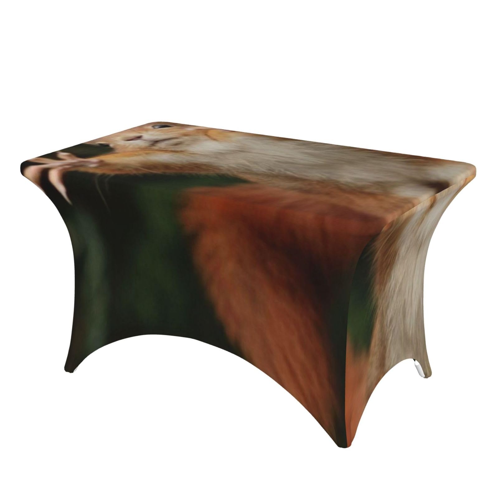 Dcehgew Squirrel Funny Animal-R18325 4Ft Spandex Rectangular Table Cloth, Printed Fitted Elastic Tablecloths Washable Table Cover For Event, Wedding, Banquet & Party