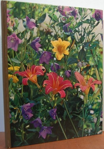 Perennials, by James Underwood. Crockett (1972-... B01N2XUGWL Book Cover