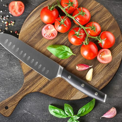 AMUSLESUR @\nhtؐgC ی`t[h{[h sU Xe[L ptp v[g H쑕p܂Ȕ