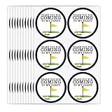 Top label Golf Themed Thank You Stickers, 2 Inch Boy Birthday Party Stickers,Retirement Party Favor Labels,240 Pcs