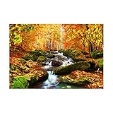 Hoffman of California Hoffman Digital Nature's Narratives Forest Stream 30'' Panel e Fabric, Brook