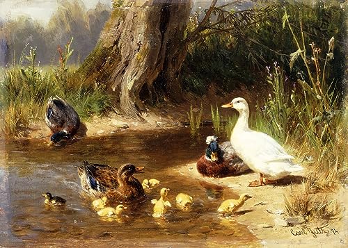 Tableau canards à l'eau de Carl Jutz : impression d'art sur toile 60x90cm pour mur