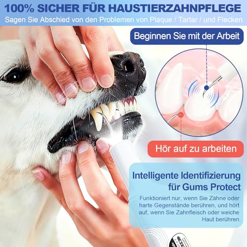 ETACCU Hund Zahnsteinentferner Zahnreinigung mit LED-Licht, 5 Modi Plaque Entferner für Zahnpflege zu Hause und Hunde und Katzen, Hund Zahnstein Entfernen, Weiß