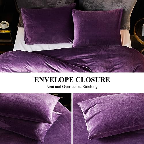 Ivellow Velvet Flannel Duvet Cover Set King Size Purple Duvet Ultra Soft Breathable Cozy Velour Luxury Bedding Set Zipper Closure Corner Ties