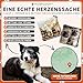 PFOTENWUNDER® Hundekäfig für zuhause, Gitterbox Hund in 3 Größen, 2 Türen + 1 Cover, 1 Trainingsbuch, Tiertransportbox Hundetransportkäfig klappbar, Hunde-Transport-Box Auto Drahtkäfig (107*71*77,5cm)