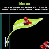 Ver la foto 3