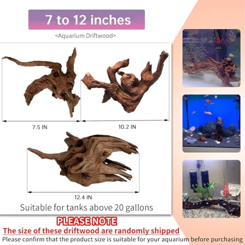 Image of Hamiledyi 3 Pcs Natural Driftwood for Aquarium 7-12 Inch Driftwood Branches Bearded Dragon Accessories Reptiles Aquarium Decoration Assorted Size Natural Habitat Decor Wood for Lizad