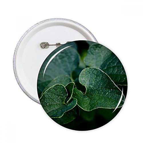 Feuille Plante Photo Nature bouton décoration vêtements pour sac à dos