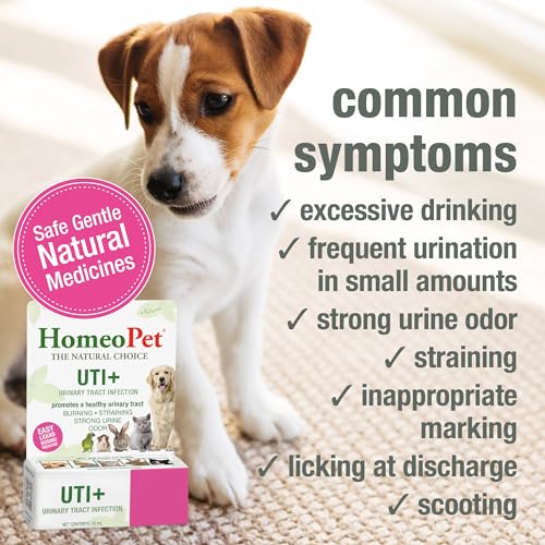 Image of HomeoPet UTI+ Urinary Tract Supplement for Dogs and Cats, 15 Milliliters