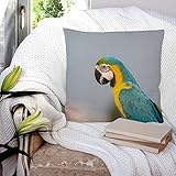 guacamayo ara ararauna hablando 【Cremallera oculta】La cremallera está oculta en un lado para facilitar el reemplazo de la almohada. El diseño de cremallera oculta hace que la funda se vea mejor y no te raye. La cremallera es muy suave.