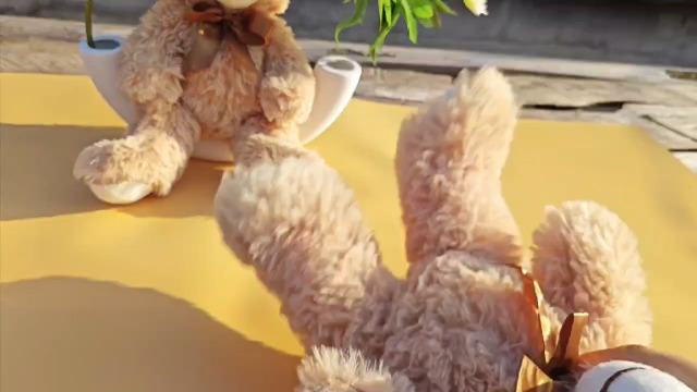 Amazon.com: Hgplvxj Teddy Bear Stuffed Animals, 12 Inches Teddy